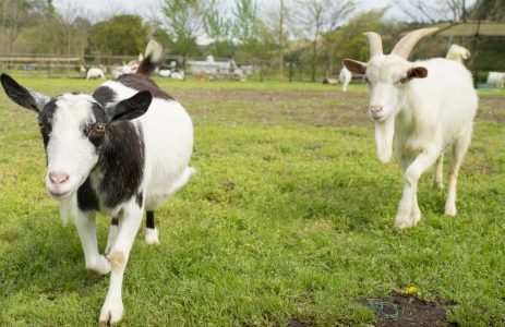 コンピュータ教育学院